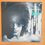 The Waterboys ‎– A Pagan Place - Vinyl LP Record - Very-Good+ Quality (VG+)