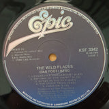 Dan Fogelberg ‎– The Wild Places ‎–  Vinyl LP Record - Very-Good+ Quality (VG+)