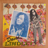 David Lindley – Mr. Dave - Vinyl LP Record - Very-Good+ Quality (VG+) (verygoodplus)