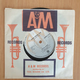 Bryan Adams – Hidin' From Love - 7" Record - Very-Good+ Quality (VG+) (verygoodplus7) (DLB)