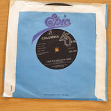 Gina's Theme - Johannesburg Pop Orchestra - Vinyl 7" Record  (VG+)