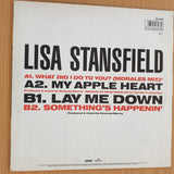 Lisa Stansfield – What Did I Do To You? - Vinyl LP Record (VG+)