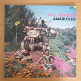 Amabutho – Udal'Usefikile - Vinyl LP Record (VG+)