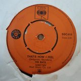 The Bats ‎– That's How I Feel / If You Wanna Play - Vinyl 7" Record - Very-Good Quality (VG) - C-Plan Audio