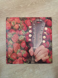 Strawbs - The Best Of Strawbs - Double Vinyl LP Record - Opened  - Very-Good Quality (VG) - C-Plan Audio